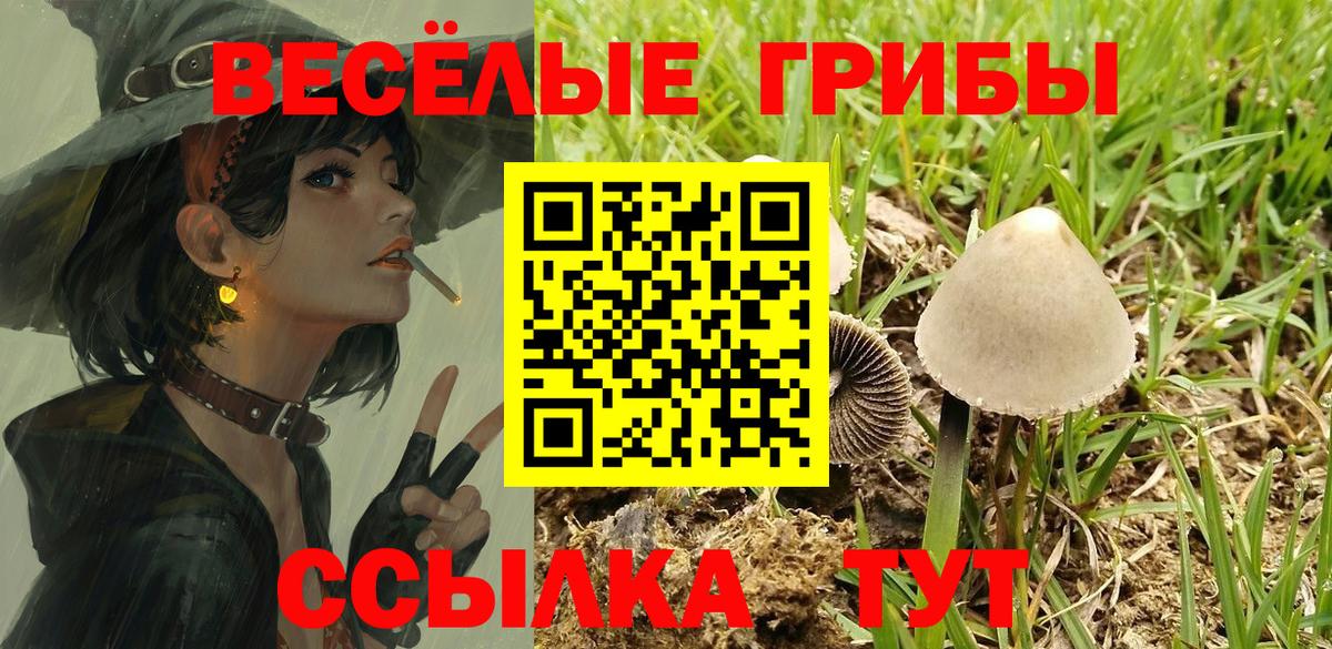 Набережные Челны  Псилоцибиновые грибы прущие грибы  Галлюциногенные грибы мицелий  Вход с VPN 